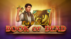 Book of Dead slot at Kachingo
